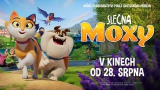Slečna Moxy