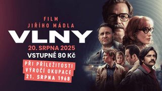 Vlny