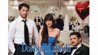 Dokonalá shoda