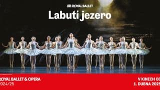 Královský balet: Labutí jezero