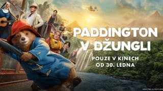 Paddington v džungli 
